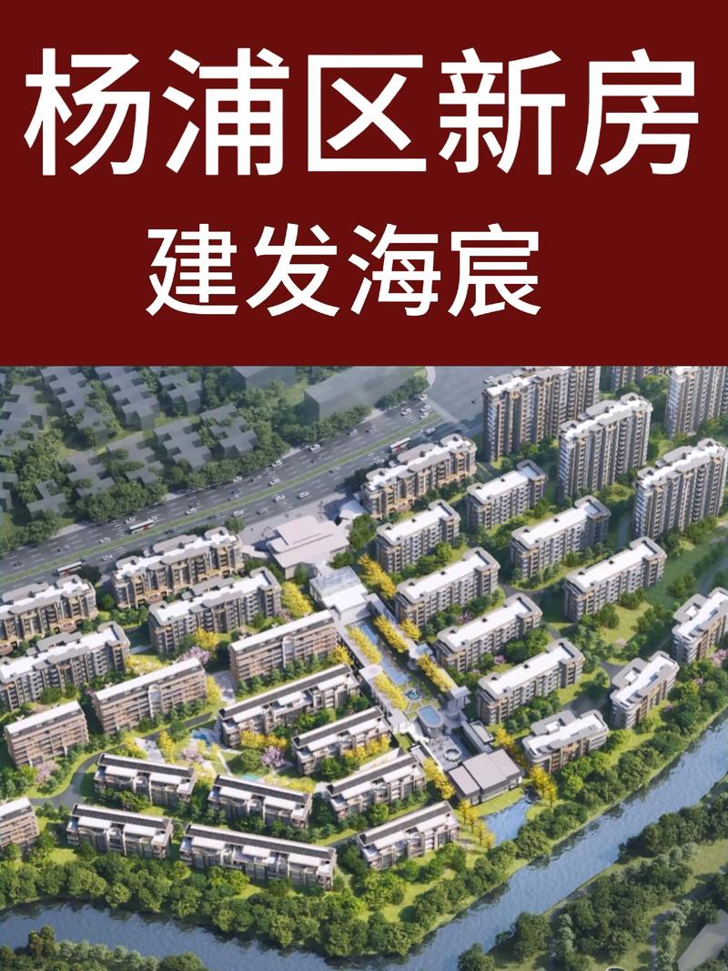 新房项目